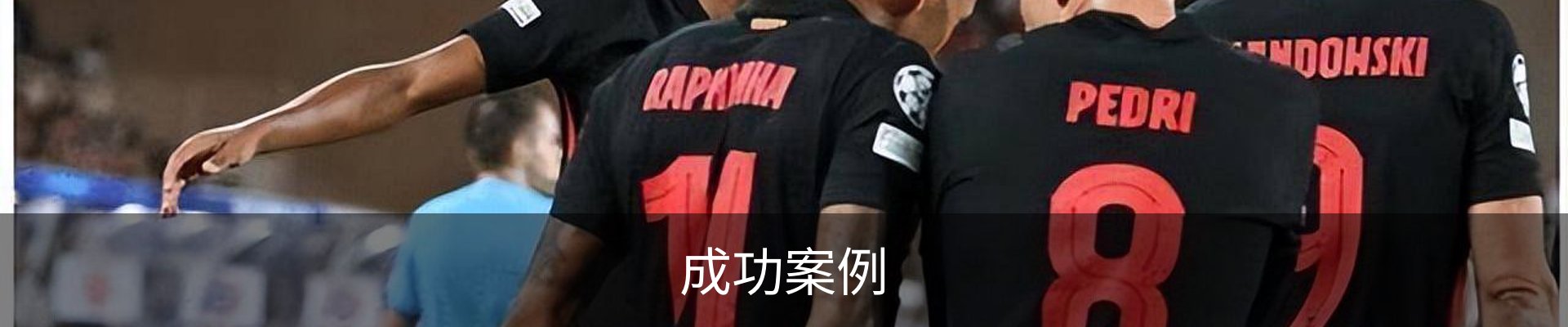 成功案例